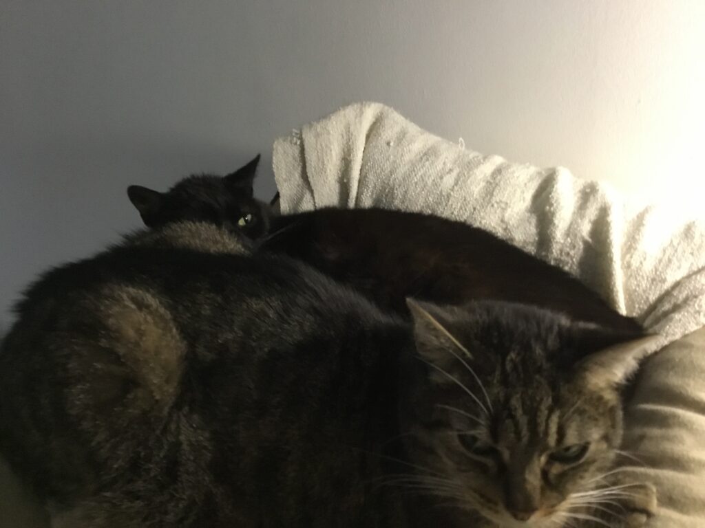 Boah ey, eure Böllerei Freitag! Logbuch